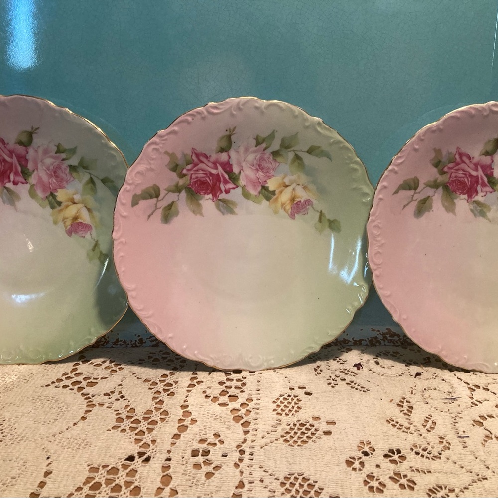 Dinner Plate